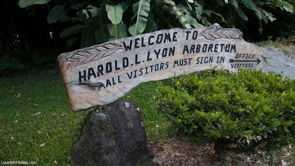 Harold L Lyon Arboretum