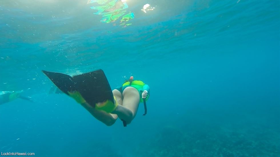 Best Snorkeling Beaches on the Big Island