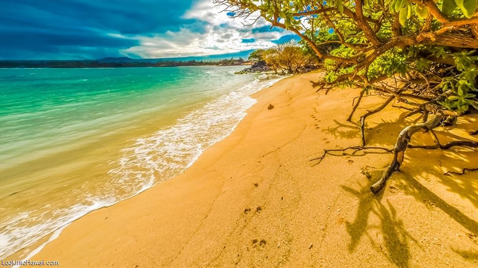 Top 10 Smart Choices In Hawaii