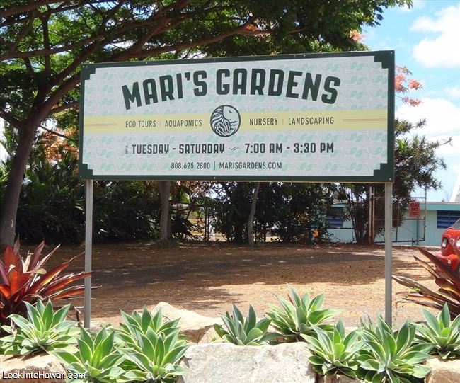 Maris Gardens - Activities On Oahu Mililani, Hawaii