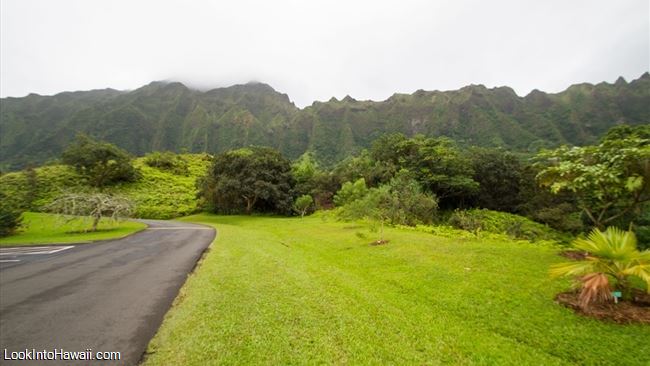 Hoomaluhia Botanical Gardens Activities On Oahu Kaneohe Hawaii