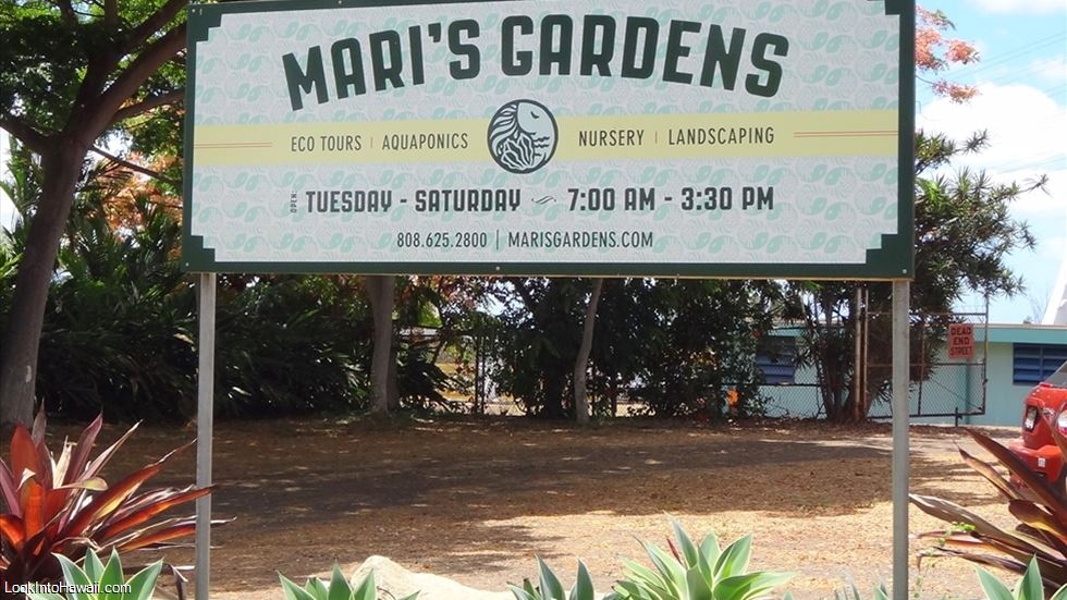 Mari's Gardens