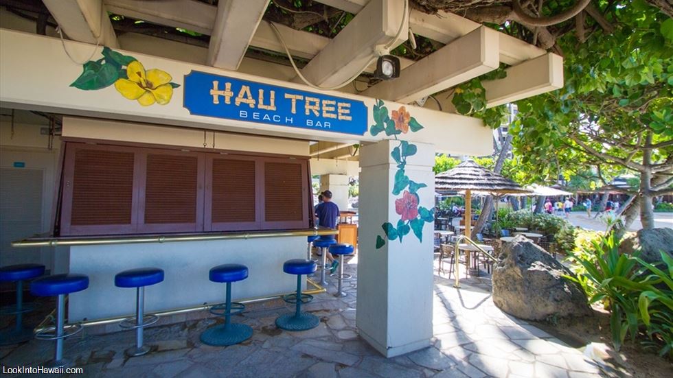 Hau Tree Beach Bar