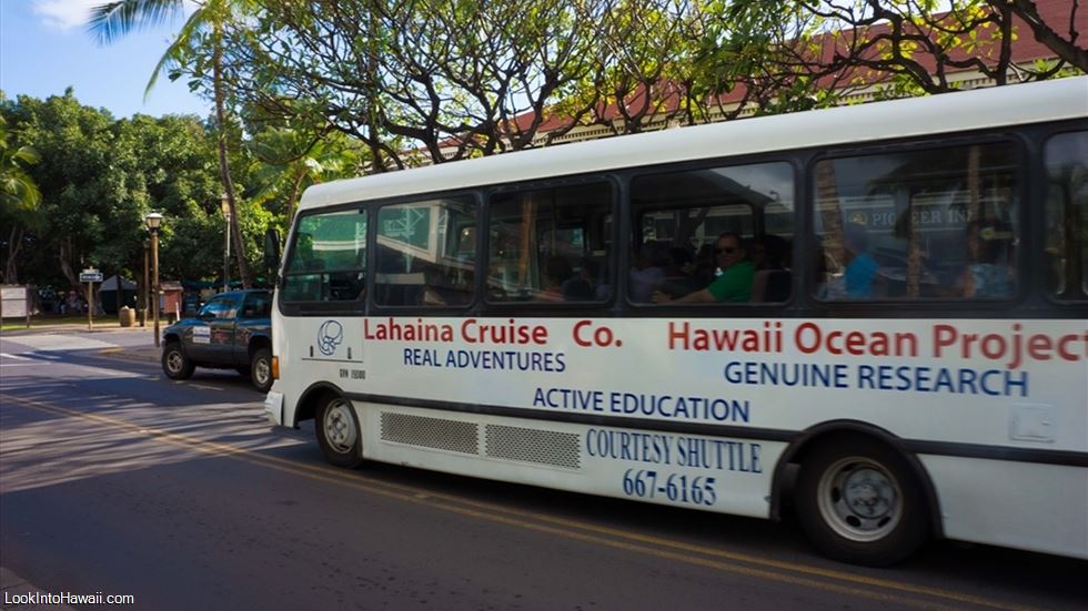 Lahaina Cruise Company