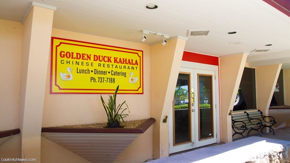 Golden Duck