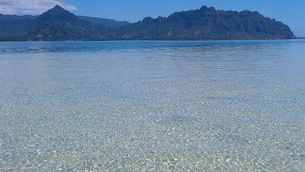 Kaneohe Bay Private Charters