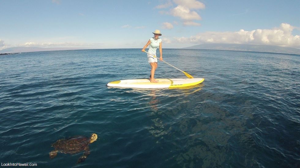 Maui Stand Up Paddle Boarding