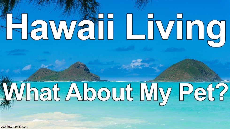 Hawaii Living: What About My Pet?