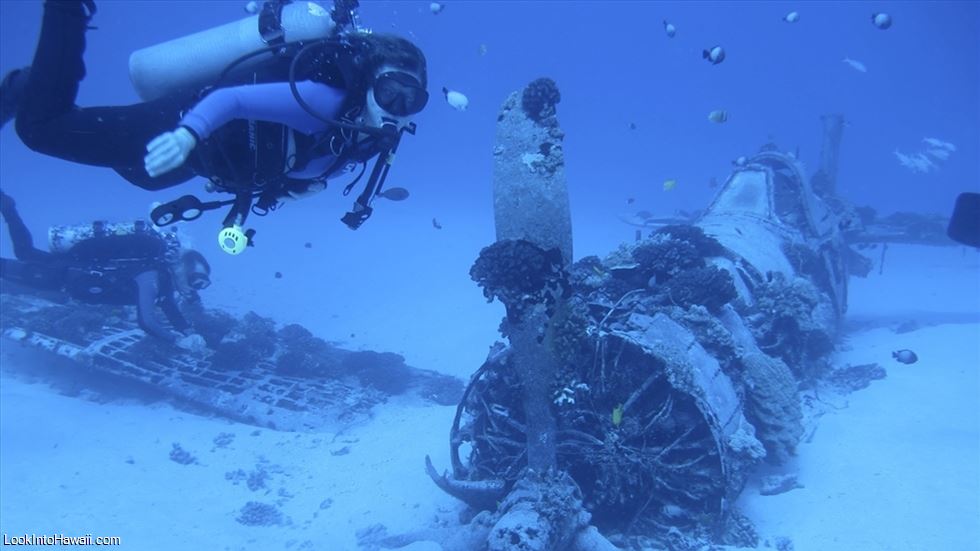 Hawaii Eco Divers