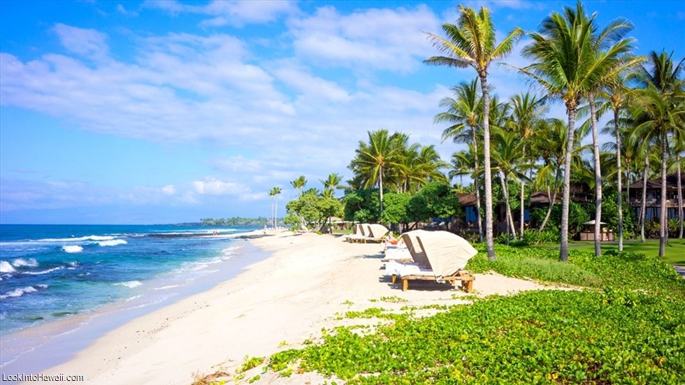 Best Honeymoon Resorts On Big Island, Hawaii