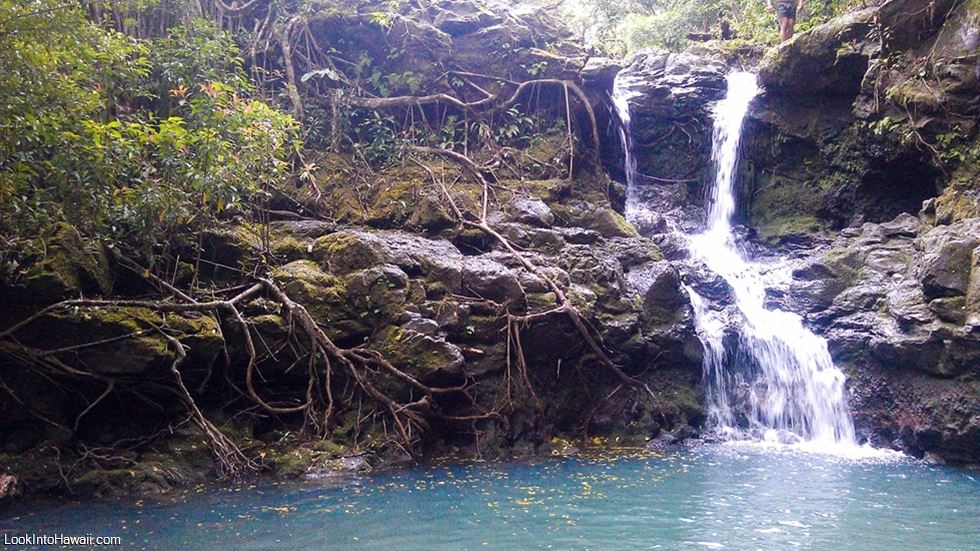 Kalauao Falls Loop Trail