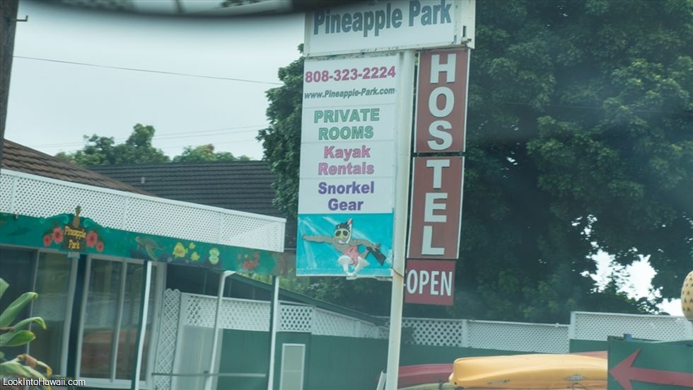 Pineapple Park Hostel