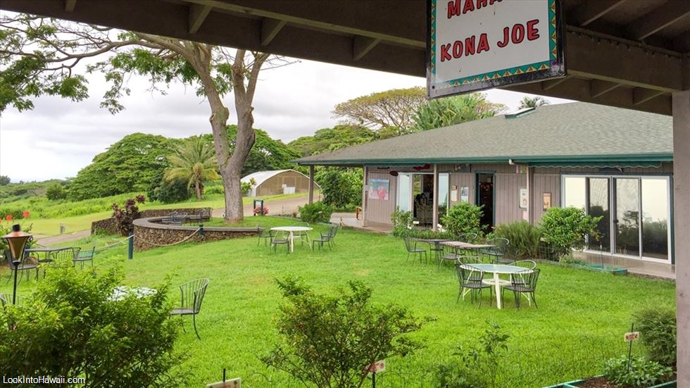 Kona Joe's Coffee Farm