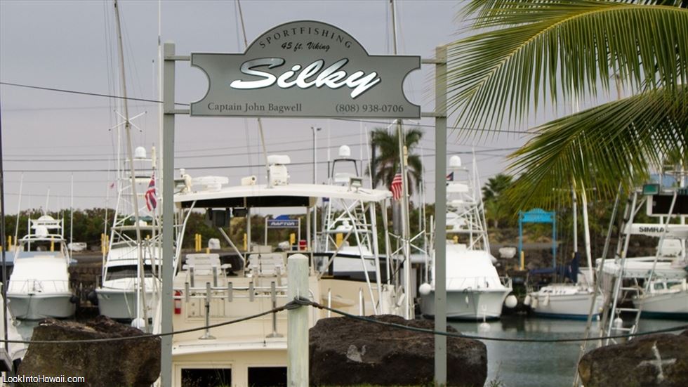 Silky Fishing Charter