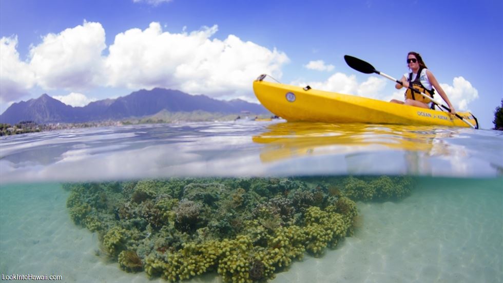 Holokai Kayak & Snorkel Adventure