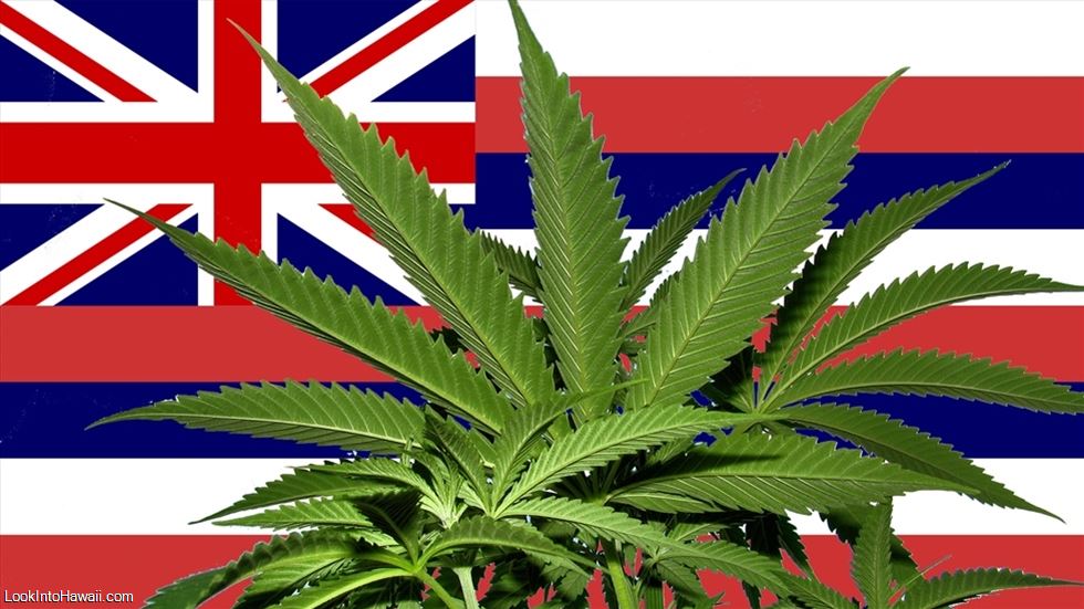 Medical Marijuana In Hawaii