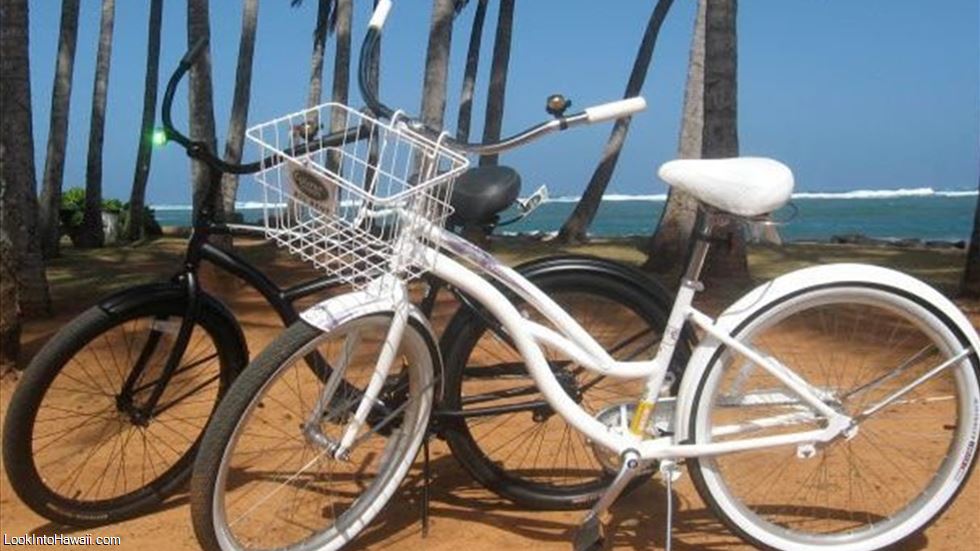 Coconut Coasters Beach Bike Rentals