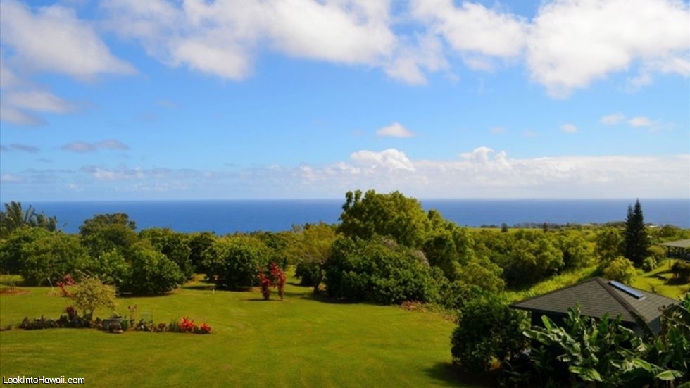 Maui Ocean Breezes Organic Farm Retreat
