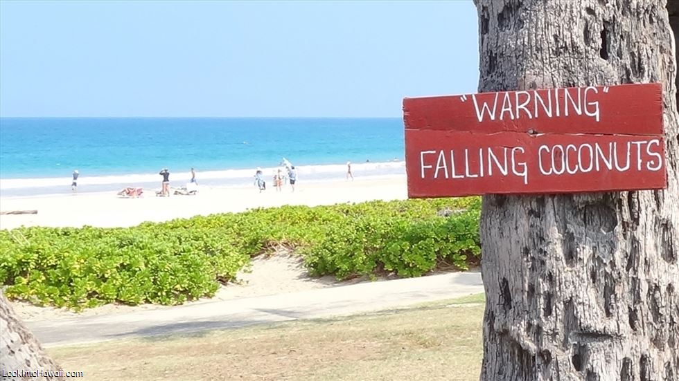 Crazy Signs That Can Only Be Found In Hawaii