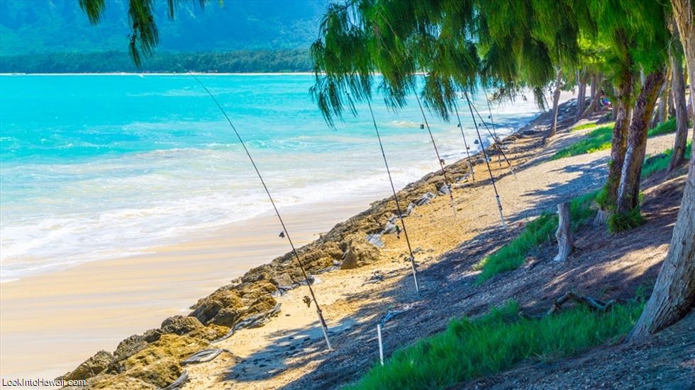 Hawaii Fishing Information & FAQ