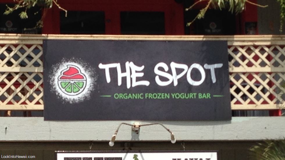 The Spot Organic Frozen Yogurt Bar