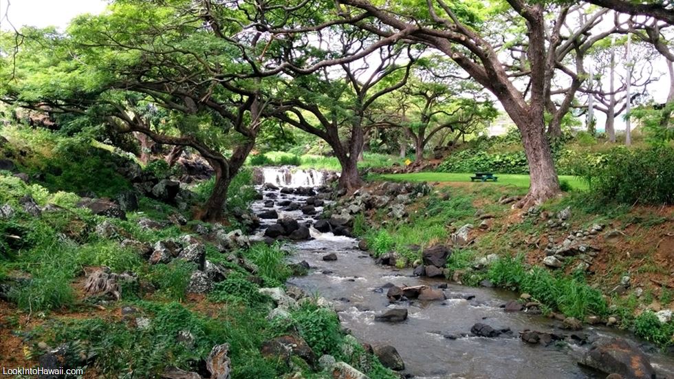 Oahu Botanical Gardens Guide