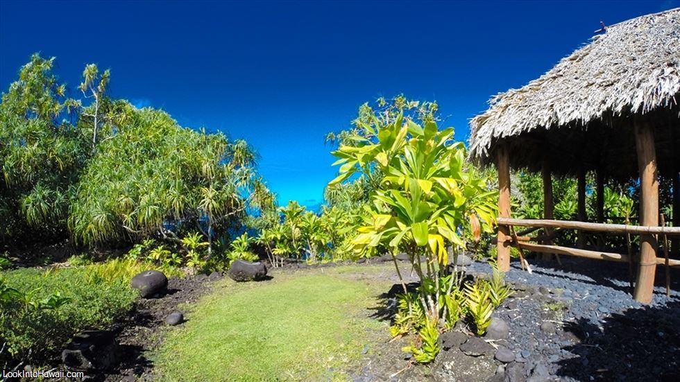 Maui Botanical Gardens Guide