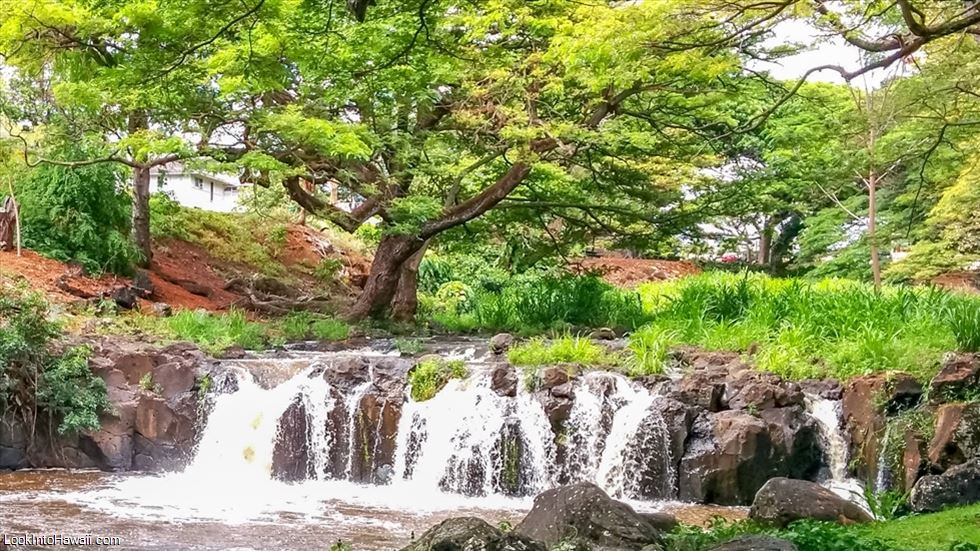 Hawaii Botanical Gardens Guide