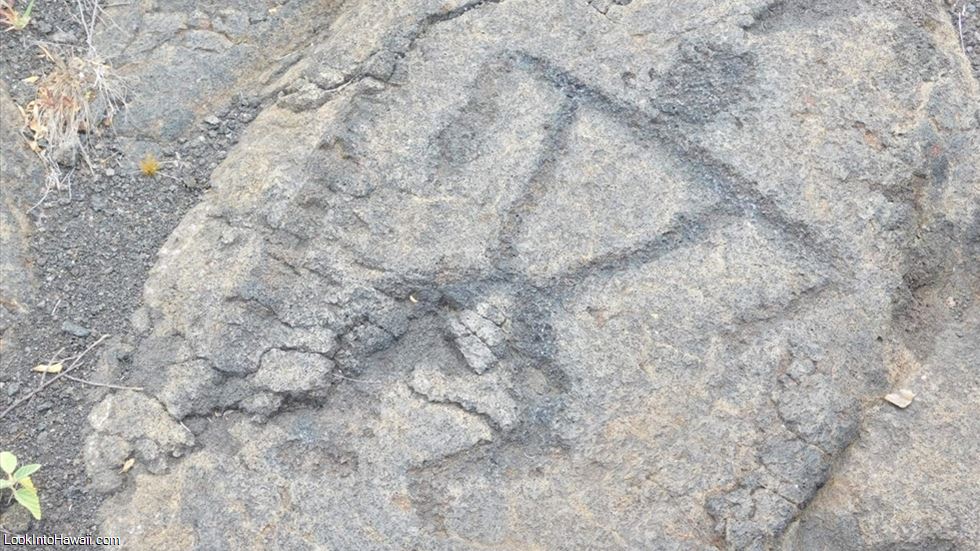 Malama Petroglyph Trail / Puako Petroglyph Preserve