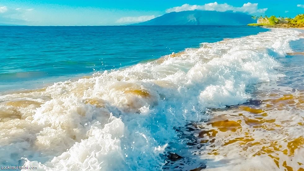 Top 8 Reasons To Visit Hawaii